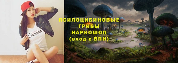 бошки Абаза
