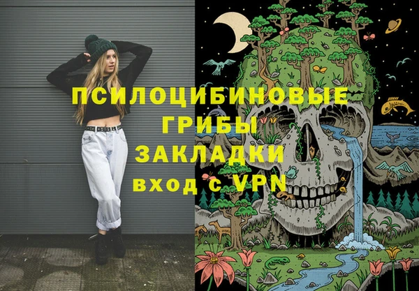 бошки Абаза