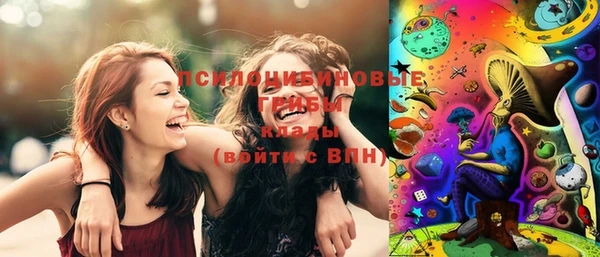 бошки Абаза