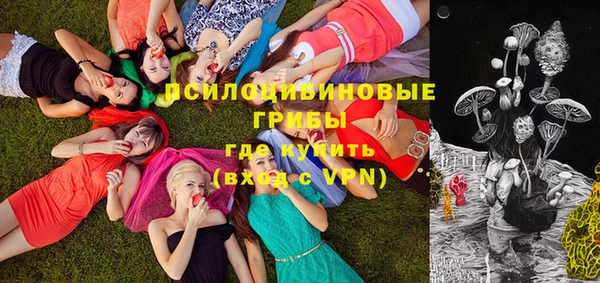 бошки Абаза